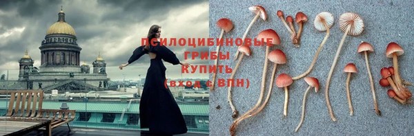 PSILOCYBIN Вяземский