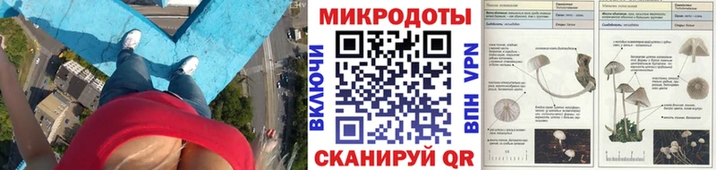 Псилоцибиновые грибы GOLDEN TEACHER  Старая Купавна 