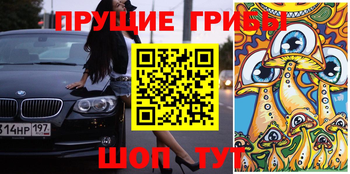 Псилоцибиновые грибы GOLDEN TEACHER Старая Купавна