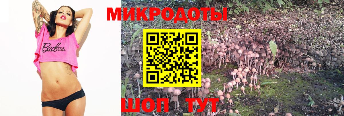 Галлюциногенные грибы ЛСД  Старая Купавна  Псилоцибиновые грибы ЛСД 