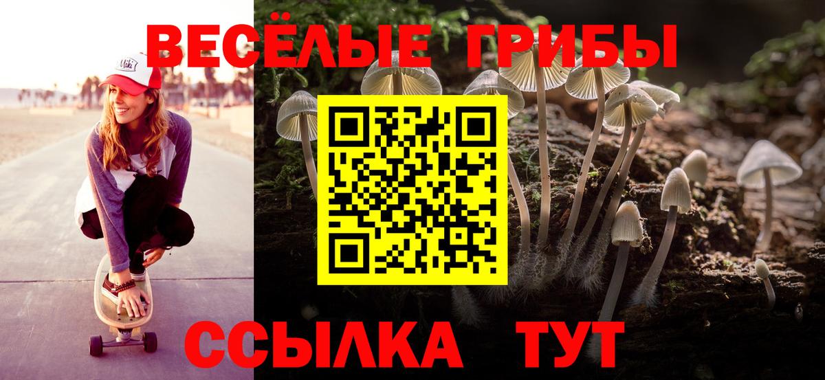 Псилоцибиновые грибы Cubensis  Вход с VPN  Старая Купавна  Галлюциногенные грибы прущие грибы 